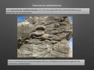 Estructuras Sedimentarias Ppt