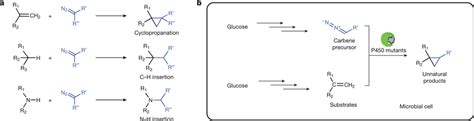 Carbene Transfer Reactions For Biosynthesis A Examples Of Recently