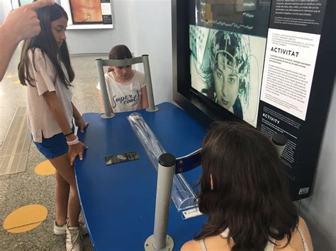 Prim Ria Escola Del Sol Ciutat De Les Arts I Les Ci Ncies