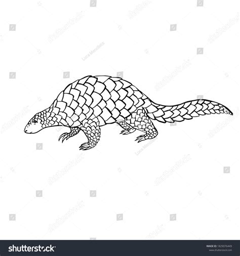 Handmade Illustration Walking Pangolin Stock Illustration 1829076449