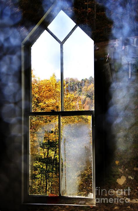 Through A Glass Darkly Photograph By Thomas R Fletcher Fine Art America