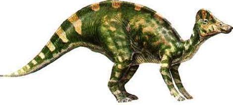 Hypacrosaurus - Alchetron, The Free Social Encyclopedia