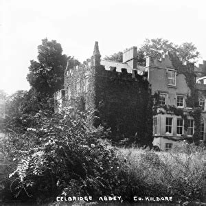 Celbridge Abbey, Co. Kildare a view of an occupied ivy