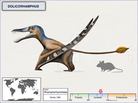 Dolicorhamphus By Cisiopurple On Deviantart