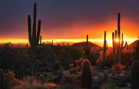 Shades Of Pink And Orange Sunset Photograph by Saija Lehtonen - Fine ...