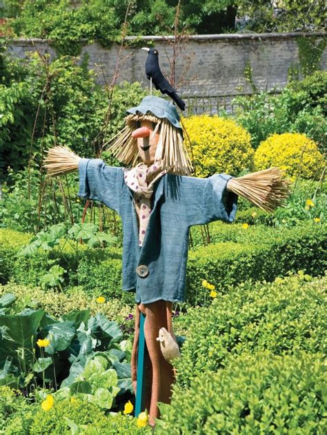 Garden Scarecrow in 2024 | Scarecrows for garden, Scarecrow, Amazing ...