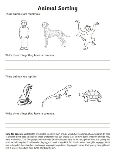 Ks1 Science Animal Sorting Printable Worksheet Activity Homeschool