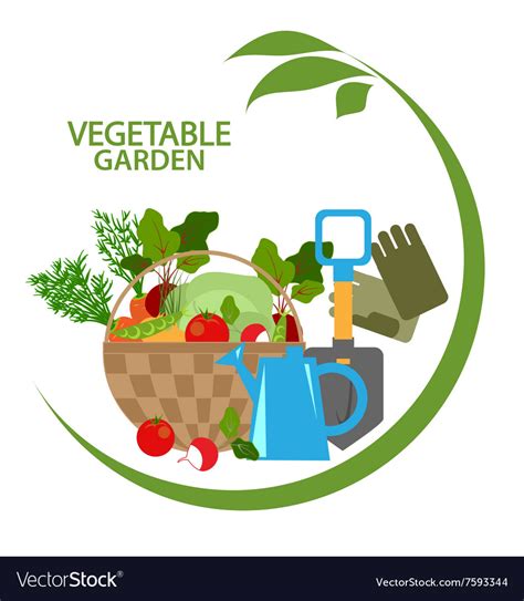 Vegetable garden Royalty Free Vector Image - VectorStock