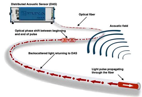 Interrelation Of Pulse Modulator Cold Atom Bragg Diffraction And Distributed Sensing Smart