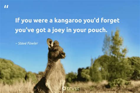 10 Kangaroo Quotes About The Memorable Marsupials