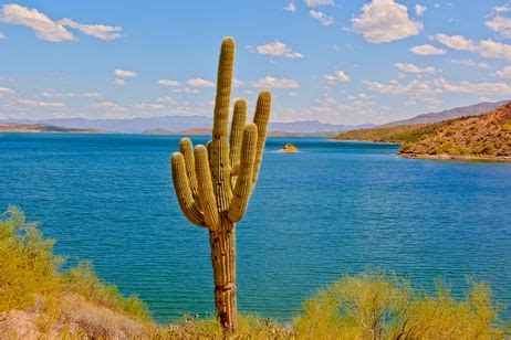 Saguaro Lake Recreation Near Phoenix, Arizona