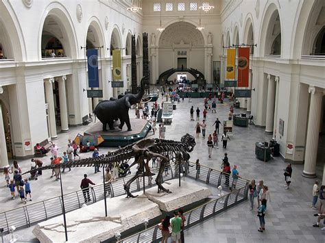 The Field Museum Admission Ticket In Chicago Klook Canada