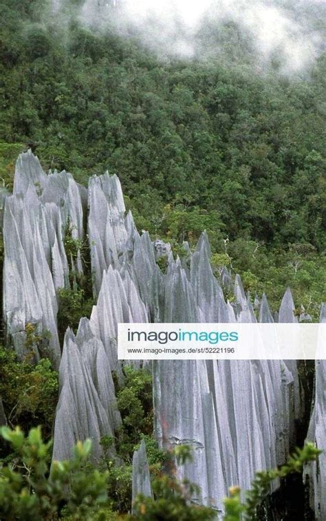 Felsformationen Im Mulu Nationalpark Auf Borneo