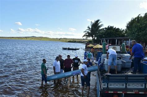 Codevasf Realiza Peixamento Na Barragem De Campo Do Brito Em Sergipe