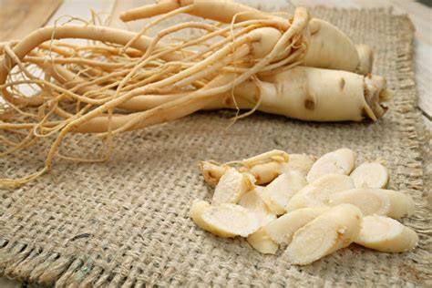 Why Is A Single Wild Ginseng Root Worth Over $400K? — Wu Healing