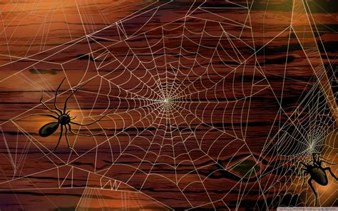 Halloween Spiders Wallpapers - Wallpaper Cave