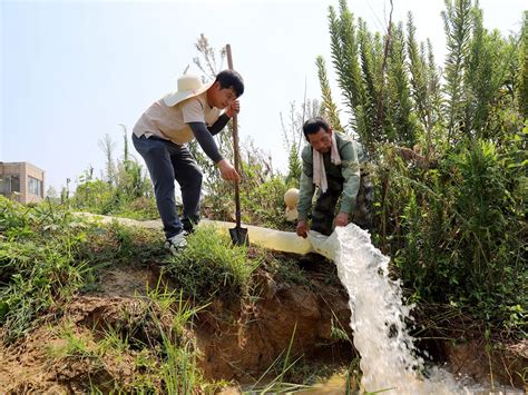 高淳桠溪：有序有力翻水抗旱 保障农业生产用水新华报业网