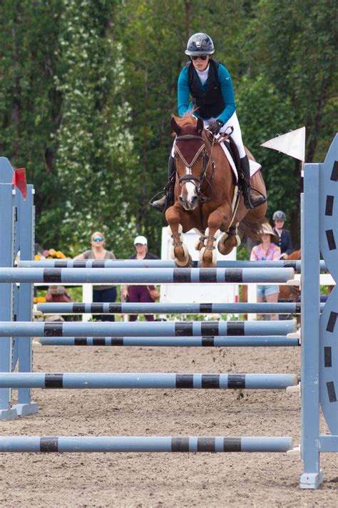 Chestnut Horse Jumping Stock by JNH-Equine on DeviantArt