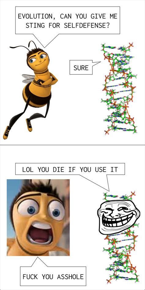 Bee Evolution Evolution Can You Give Me Wings Know Your Meme