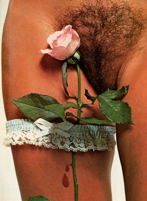 Vintage Muff 3 Hair 364 Porn Pic