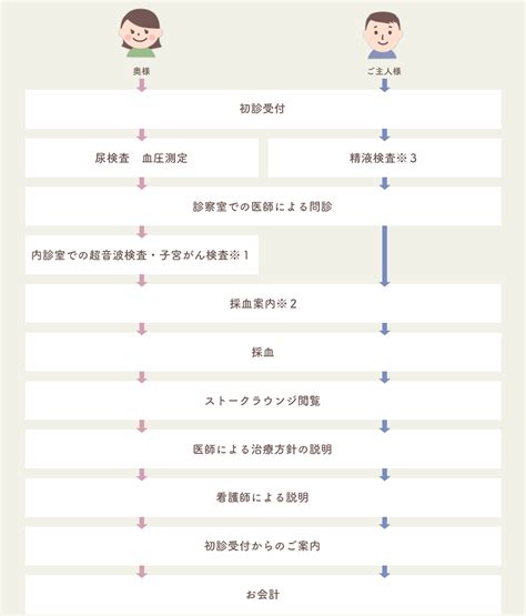 当院の治療スケジュール │ 加藤レディスクリニック：不妊治療 体外受精