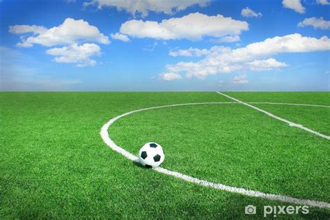 Wall Mural Soccer Football Field Stadium Grass Line Ball Background Pixersnetau