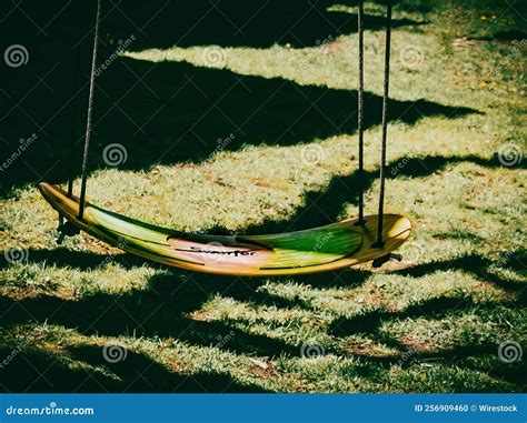 Closeup Of A Rope Swing Hanging From A Tree Editorial Image Image Of