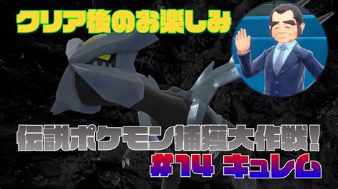 【ポケモン・sv】クリア後のお楽しみ！伝説ポケモン捕獲大作戦！【14 キュレム 】ポケモンsv 伝説ポケモン キュレム Youtube