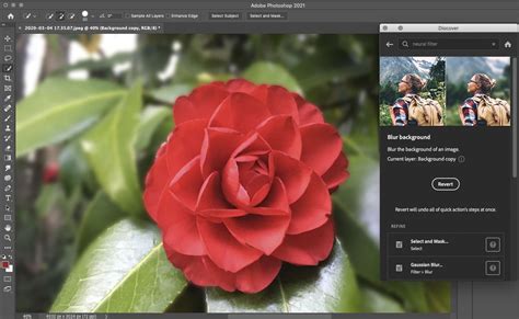 Adobe Photoshop Cc 2021 Review Toms Guide