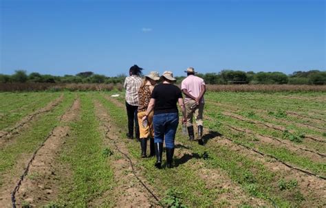 Brasil dá início à 2ª fase de projeto sobre cooperativismo no setor