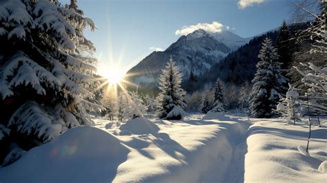 Wallpaper winter forest, 5k, 4k wallpaper, mountain, sun, snow, fir ...