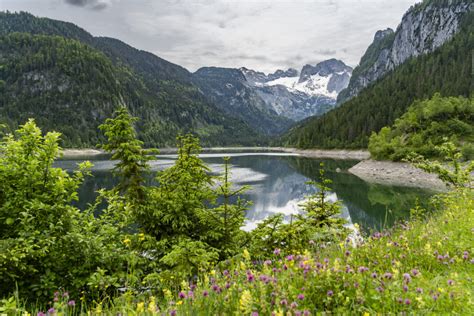 Wanderung Um Den Vorderen Gosausee Rauf Und Davon