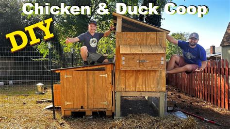 Diy Backyard Chicken And Duck Coop How To Build And Secret Design