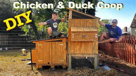 Diy Backyard Chicken And Duck Coop How To Build Secret Design