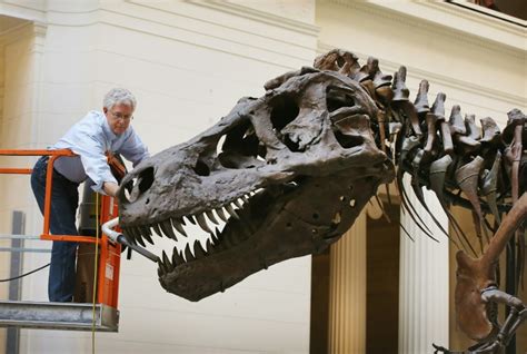 T Rex Skeleton From 67 Million Years Ago Sells For Over 6 Million