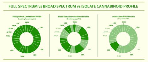 Choosing The Right Cbd Full Spectrum Vs Broad Spectrum