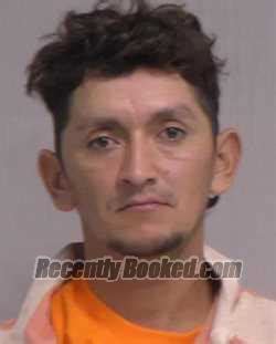 Recent Booking Mugshot For JUBER CASTILLO ALVARADO In Nassau County