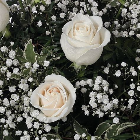 La Elecci N Adecuada De Flores Para Un Funeral Mensajes De Amor Y