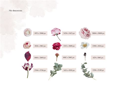 Real Flowers Clipart Set. Isolated PNG Files - Etsy