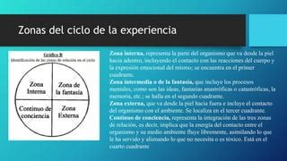 Ciclo De La Experiencia Pptx