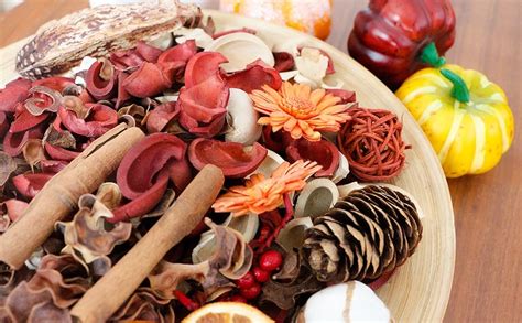 Qingbei Rina Fall Potpourri Bagscinnamon Scented Potpourri