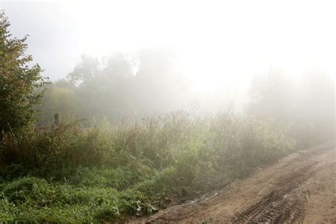 Autumn Morning Mist Scenic View Landscape Stock Photo Image Of Mist