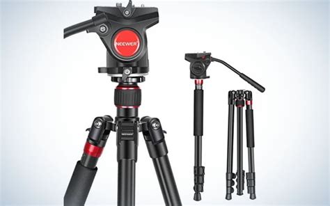 The Best Budget Tripods For 2023 Editionsphotoart