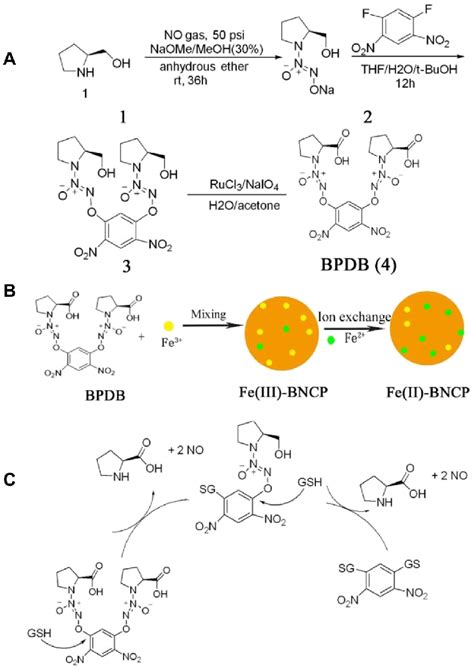 A Synthetic Route Of BPDB Compound 4 B Schematic Illustration Of