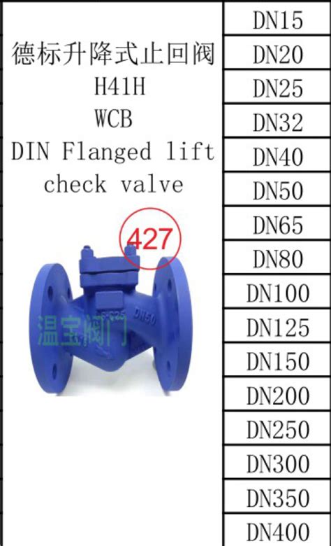 German Standard Lifting Check Valve H41H WCB Wenbao Valve Co Ltd