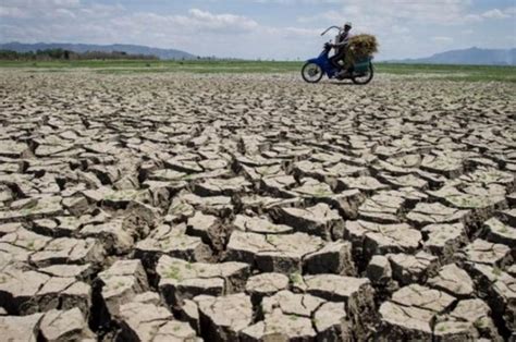 Apa Saja Yang Perlu Diwaspadai Di Puncak Musim Kemarau Sonoraid