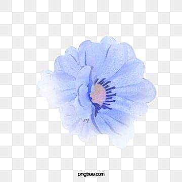 Flores Azules Png Vectores Psd E Clipart Para Descarga Gratuita