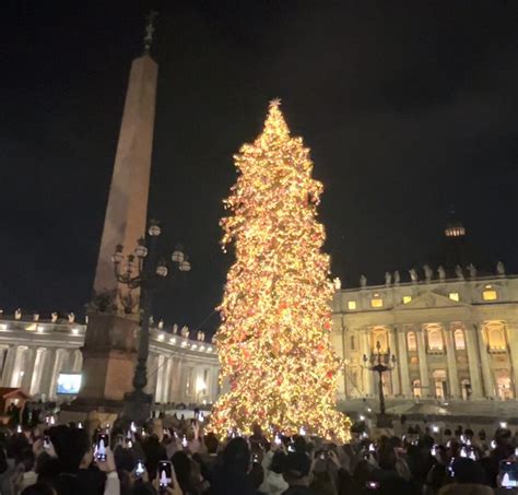 Inaugurato A Piazza San Pietro Lalbero Di Natale Donato Dallabruzzo