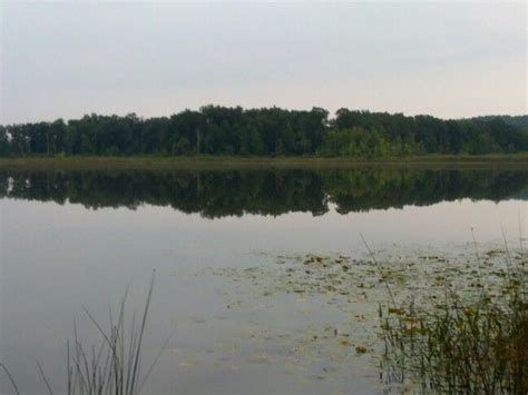 Grassy Lake, Onsted State Game Area | Outdoor, Lake, River