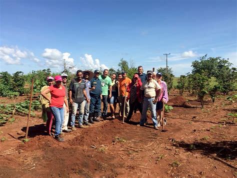 Senar E Sindicato Ministram Curso De Cultivo De Uva Sindicato Rural